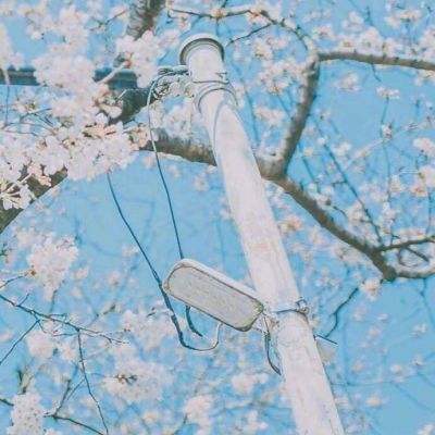 少年泰坦突围最新手游下载