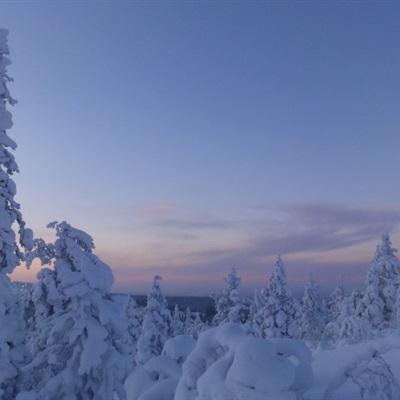 滑雪大冒险2百度下载